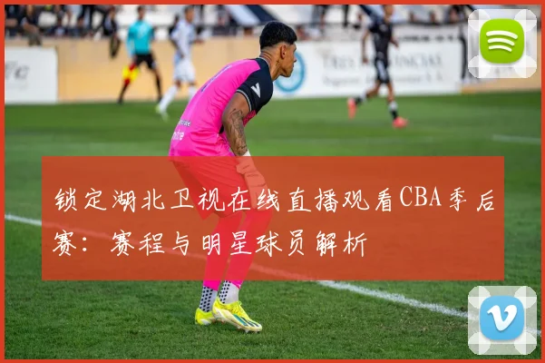 锁定湖北卫视在线直播观看CBA季后赛：赛程与明星球员解析